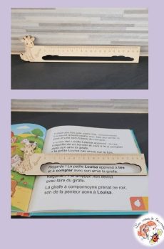 Règle de lecture personnalisable