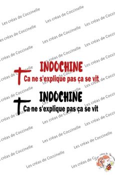 Sticker Indochine Ca ne s'explique pas ça se vit