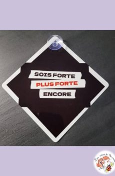 Plaque Ventouse pour voiture Indochine