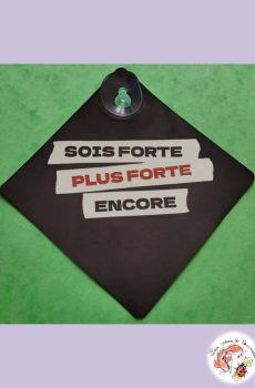 Plaque Ventouse pour voiture Indochine