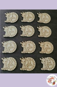 Lot de 12 cartes étapes Naissance