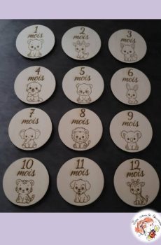 Lot de 12 cartes étapes Naissance