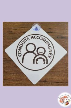 Plaque Ventouse pour voiture Conduite accompagnée